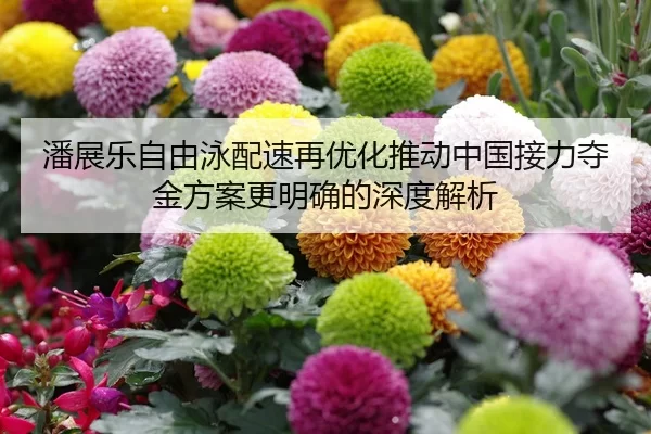 潘展乐自由泳配速再优化推动中国接力夺金方案更明确的深度解析