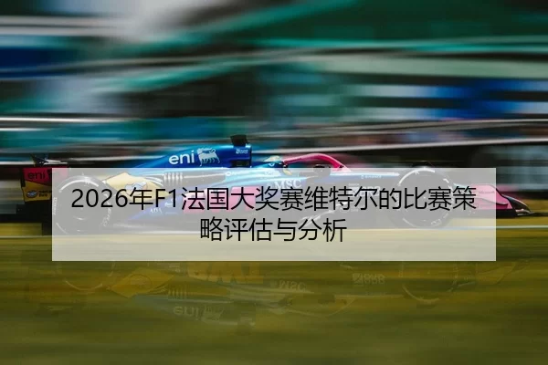 nian-fa-guo-da-jiang-sai-wei-te-er-de-bi-sai-ce-lve-ping-gu-yu-fen-xi-2-730.jpg