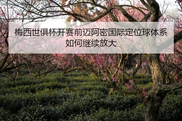 梅西世俱杯开赛前迈阿密国际定位球体系如何继续放大