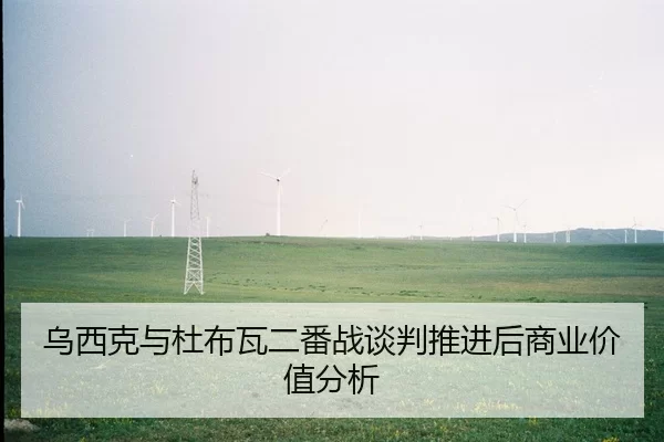wu-xi-ke-yu-du-bu-wa-er-fan-zhan-tan-pan-tui-jin-hou-shang-ye-jia-zhi-fen-xi-2-328.jpg