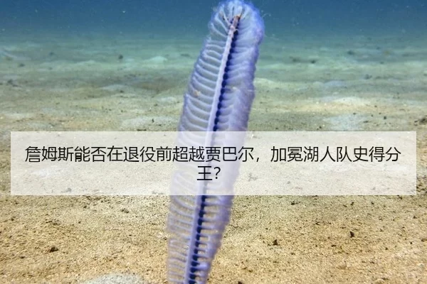 詹姆斯能否在退役前超越贾巴尔，加冕湖人队史得分王？