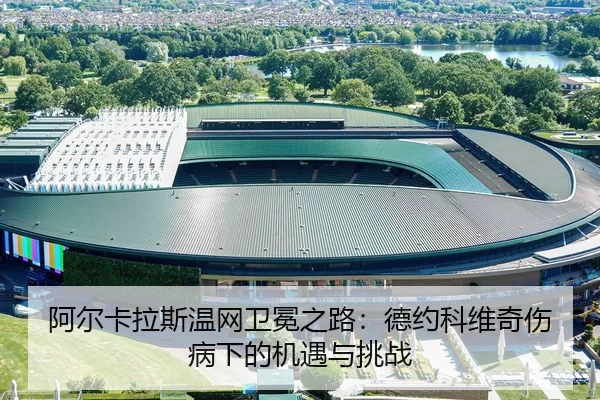 a-er-ka-la-si-wen-wang-wei-mian-zhi-lu-de-yue-ke-wei-qi-shang-bing-xia-de-ji-yu-yu-tiao-zhan-3-832.jpg