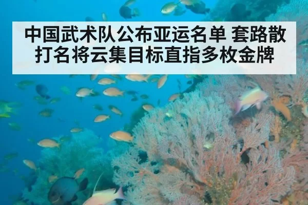 中国武术队公布亚运名单 套路散打名将云集目标直指多枚金牌